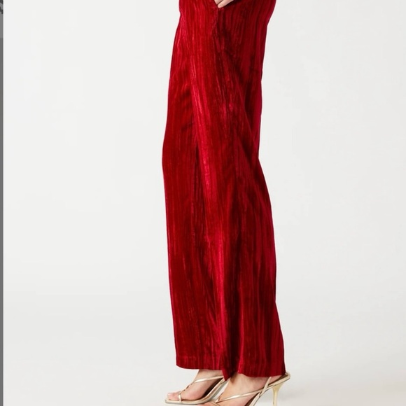 Velvet pants - Steve Madden - Picture 3 of 8